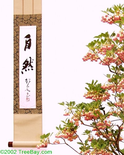 sm_20020421Kusamura 108x_adj.jpg
